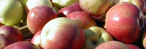 Vermont Apples