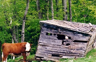 Old Vermont Barn