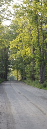 Dirt road to the bed and breakfast