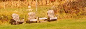 Fall Foliage chairs